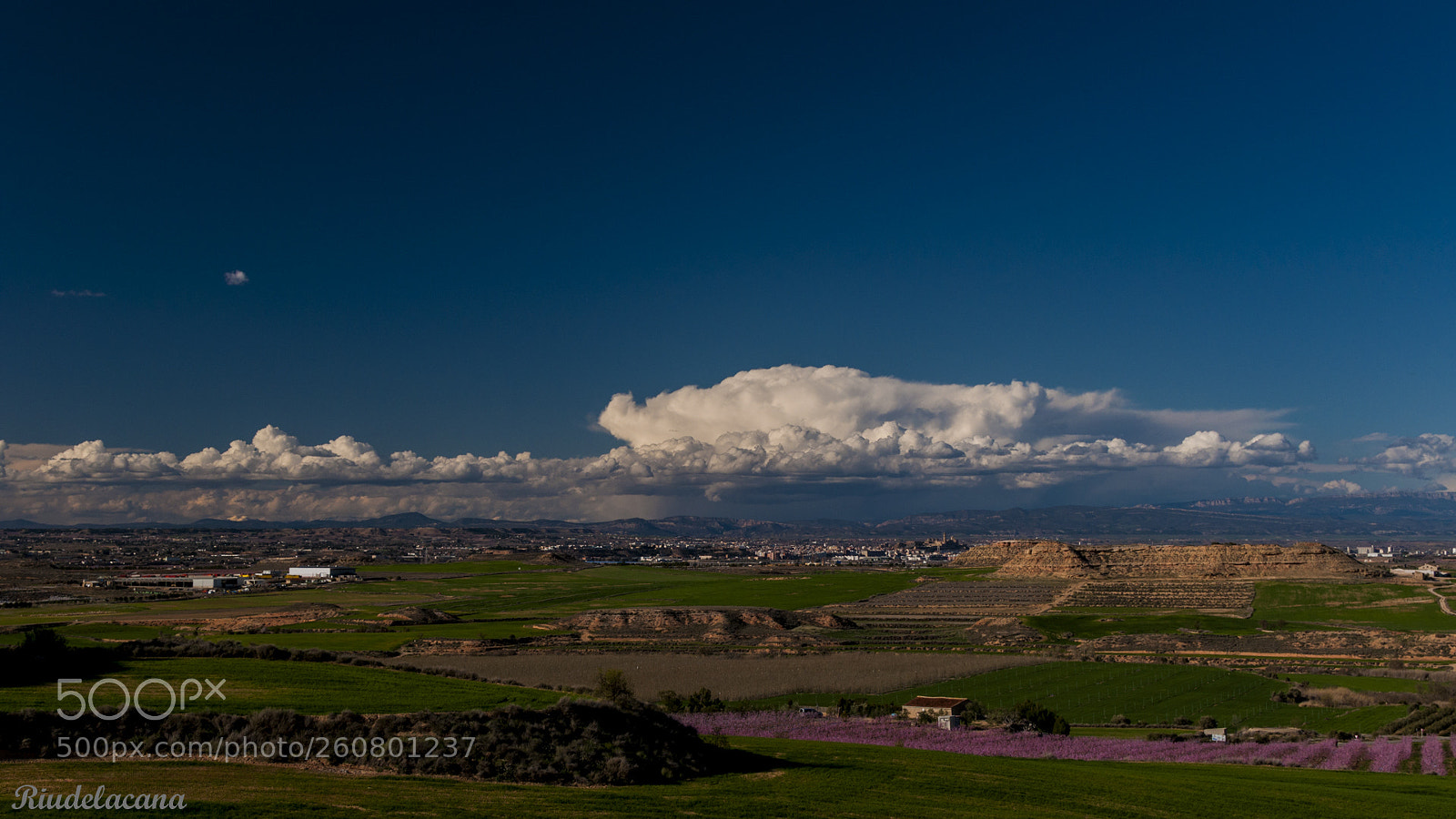 Nikon D90 sample photo. Camps de alfes mirant photography