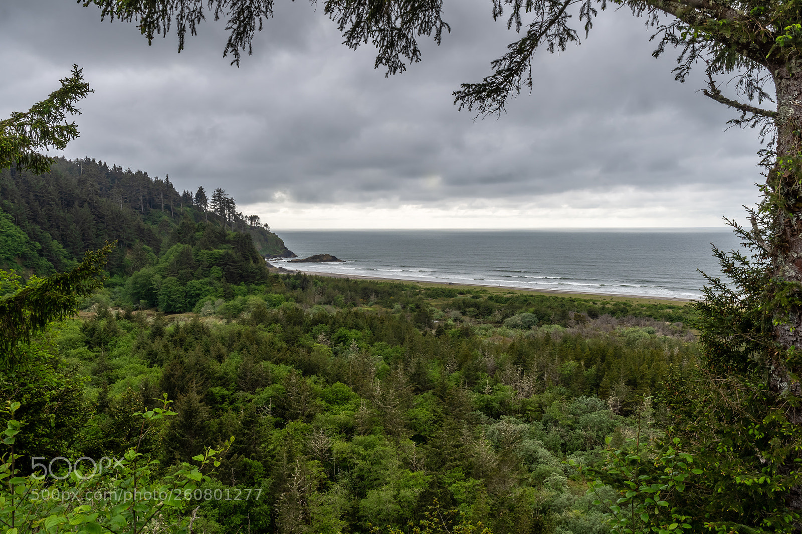 Nikon D500 sample photo. Cape disappointment photography