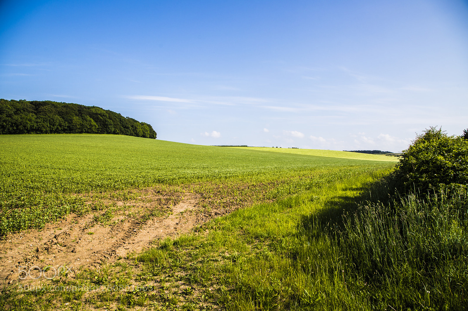 Canon EOS 6D Mark II sample photo. Stanloe fields near burnham photography