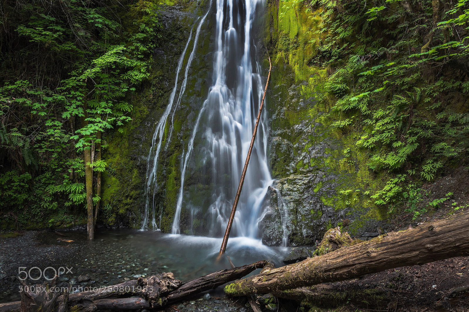 Nikon D850 sample photo. Waterfall and fallen logs photography