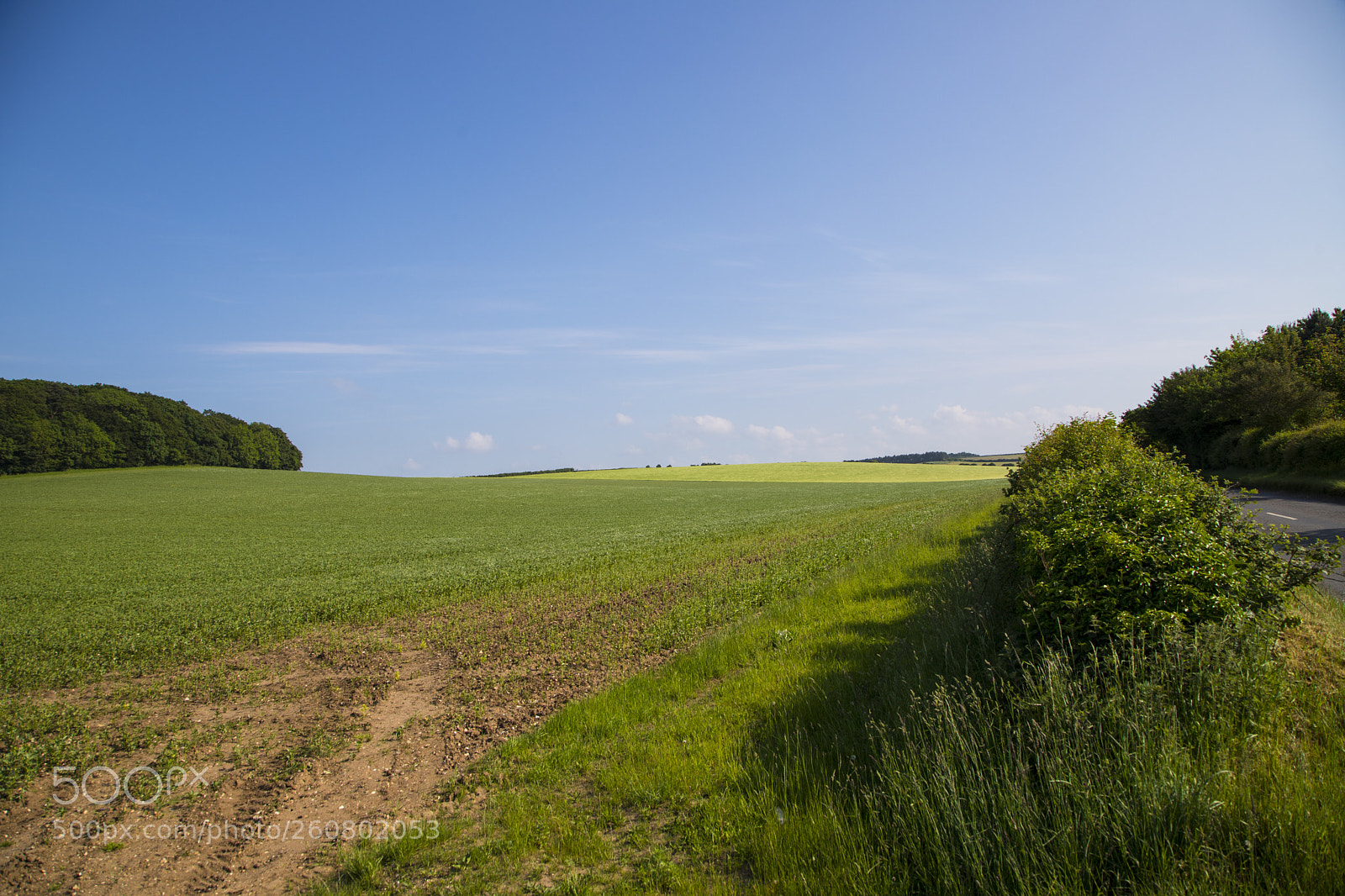 Canon EOS 6D Mark II sample photo. Stanloe fields near burnham photography