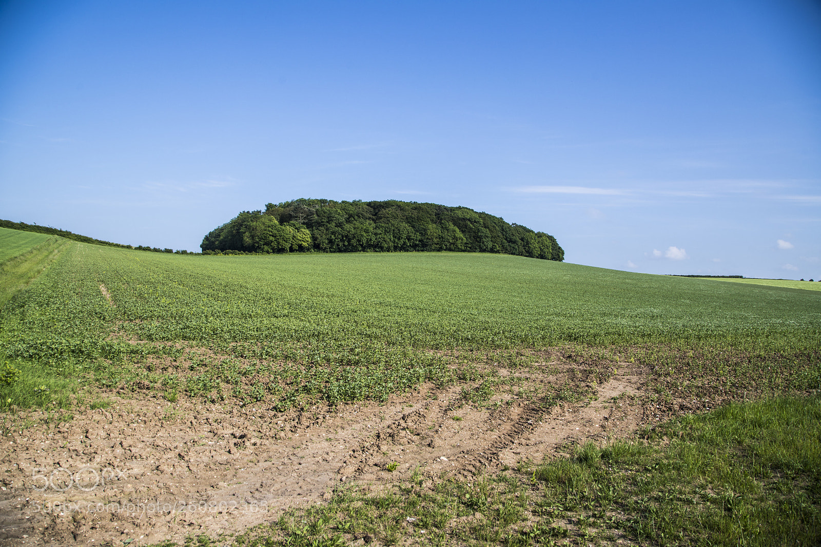 Canon EOS 6D Mark II sample photo. Stanloe fields near burnham photography