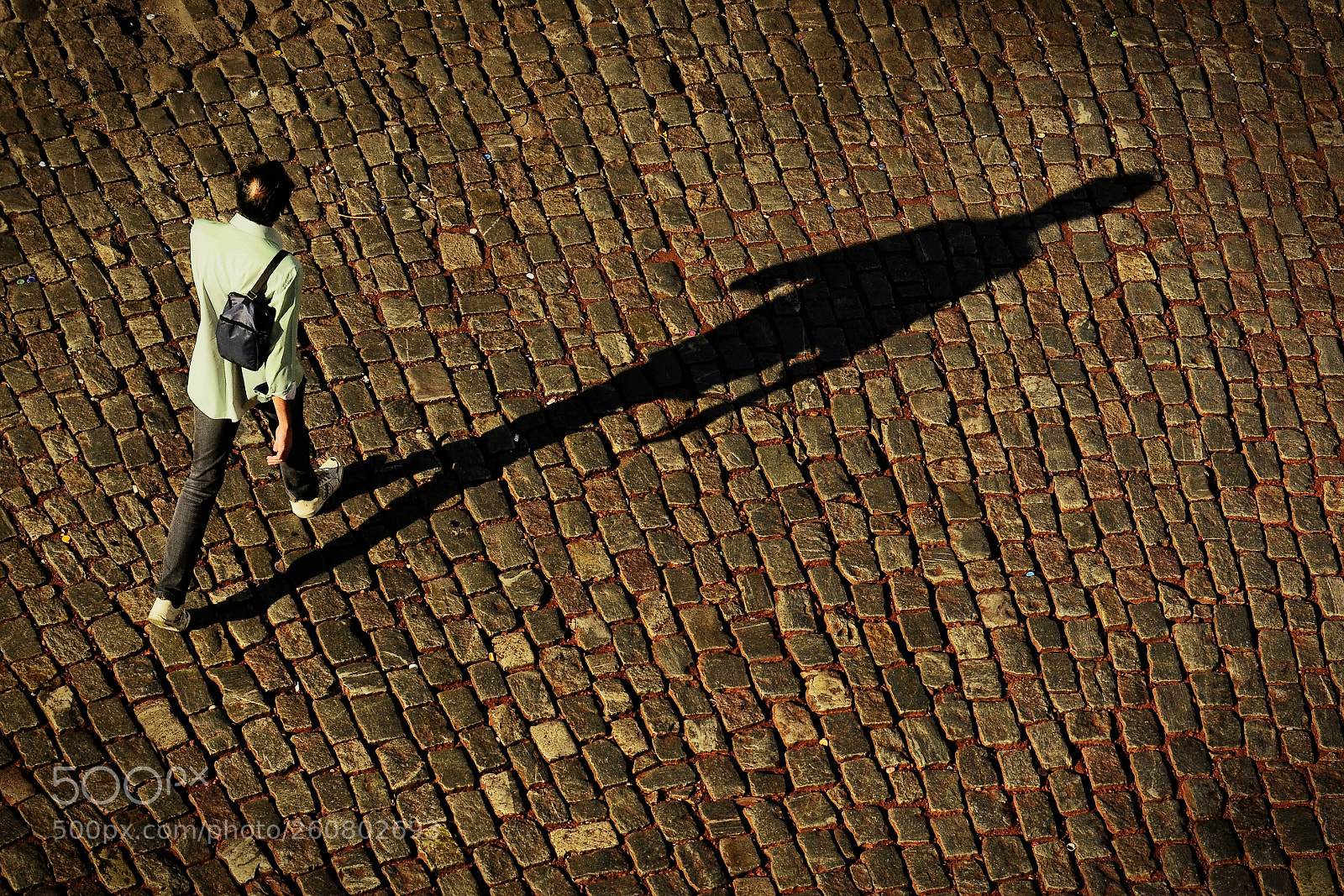 Nikon D7000 sample photo. Walking photography