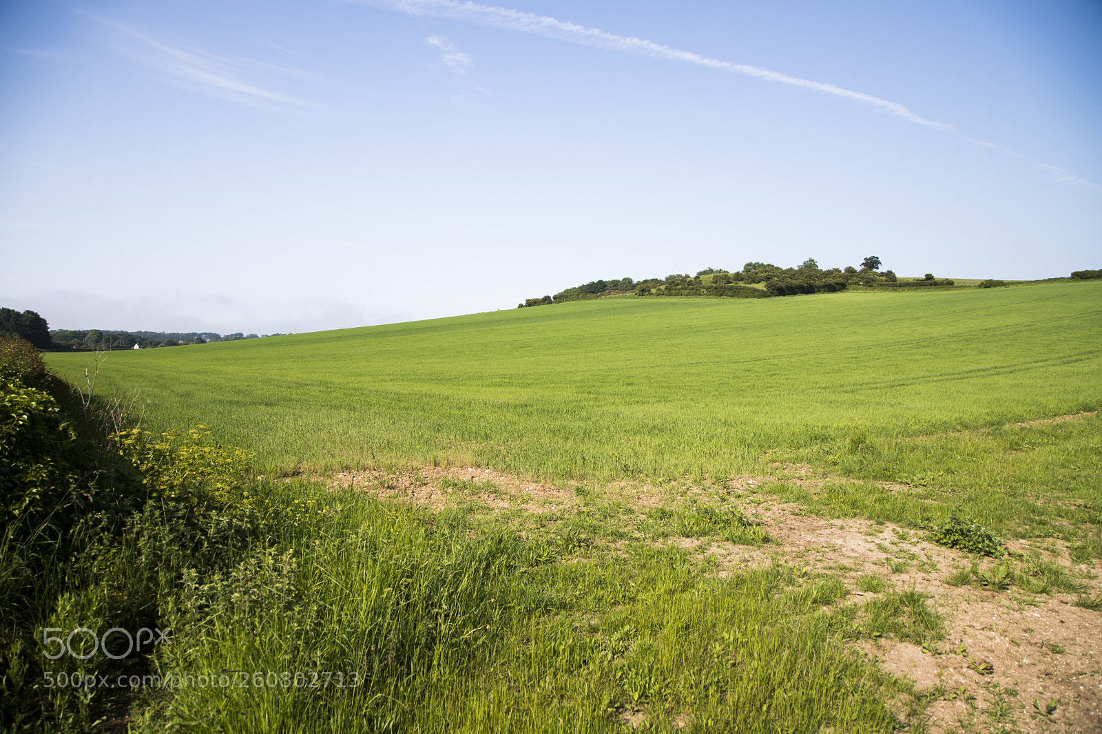 Canon EOS 6D Mark II sample photo. Stanloe fields near burnham photography