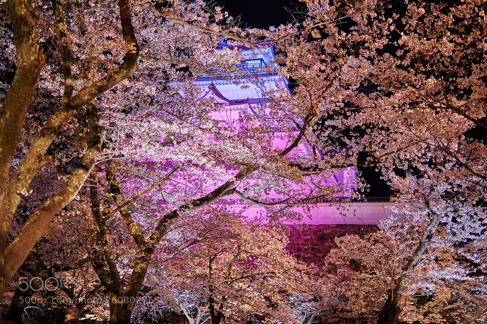 Nikon D850 sample photo. The time has flowed photography