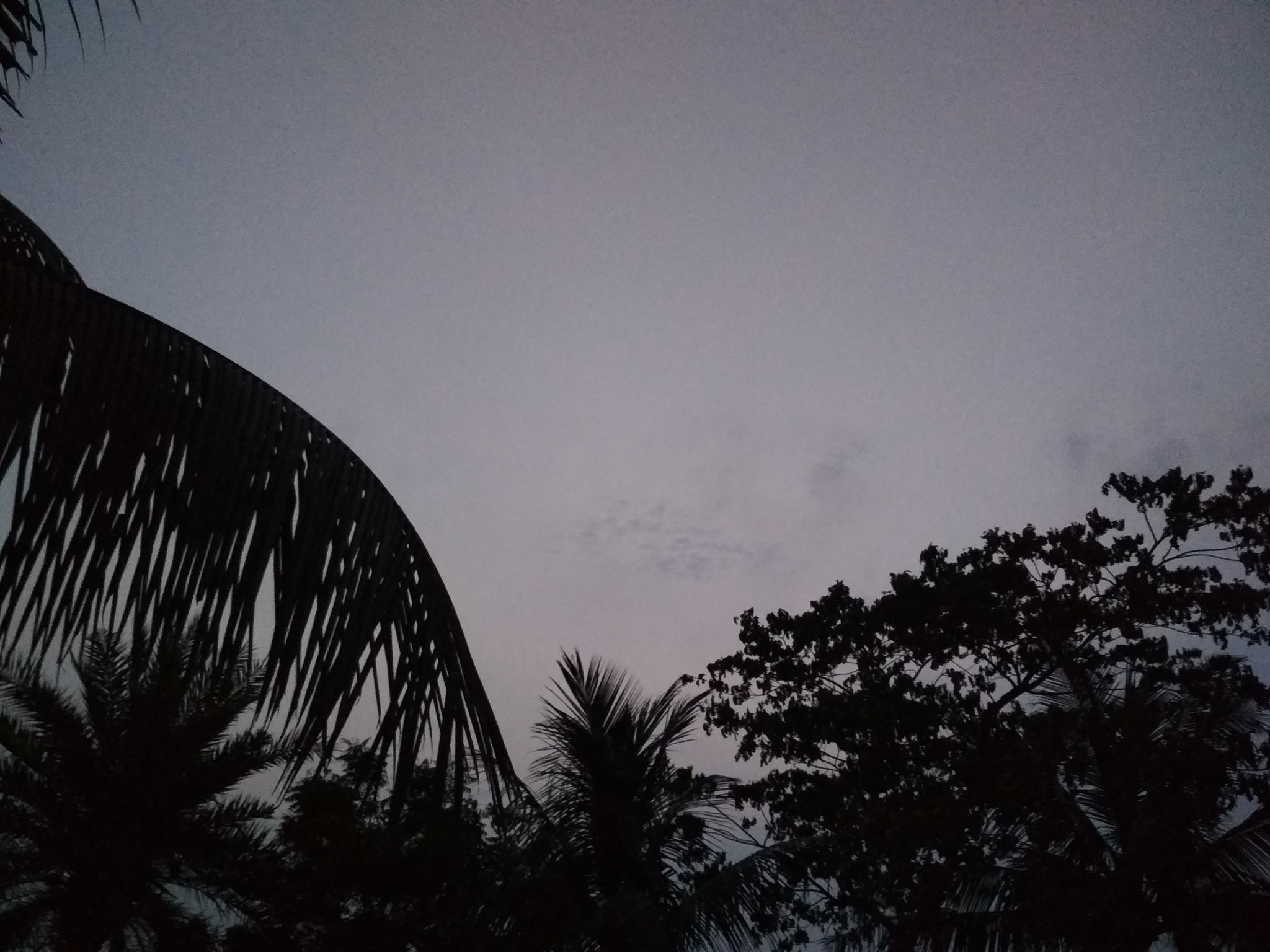 Xiaomi Redmi 4 Pro sample photo