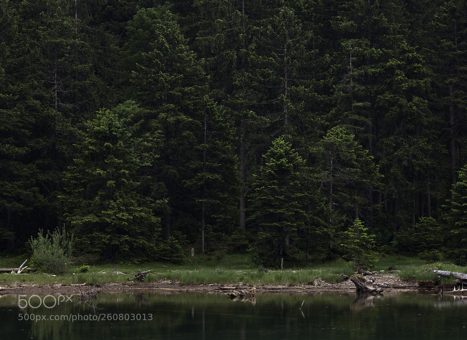 Canon EOS 5D Mark II sample photo. Untitled photography