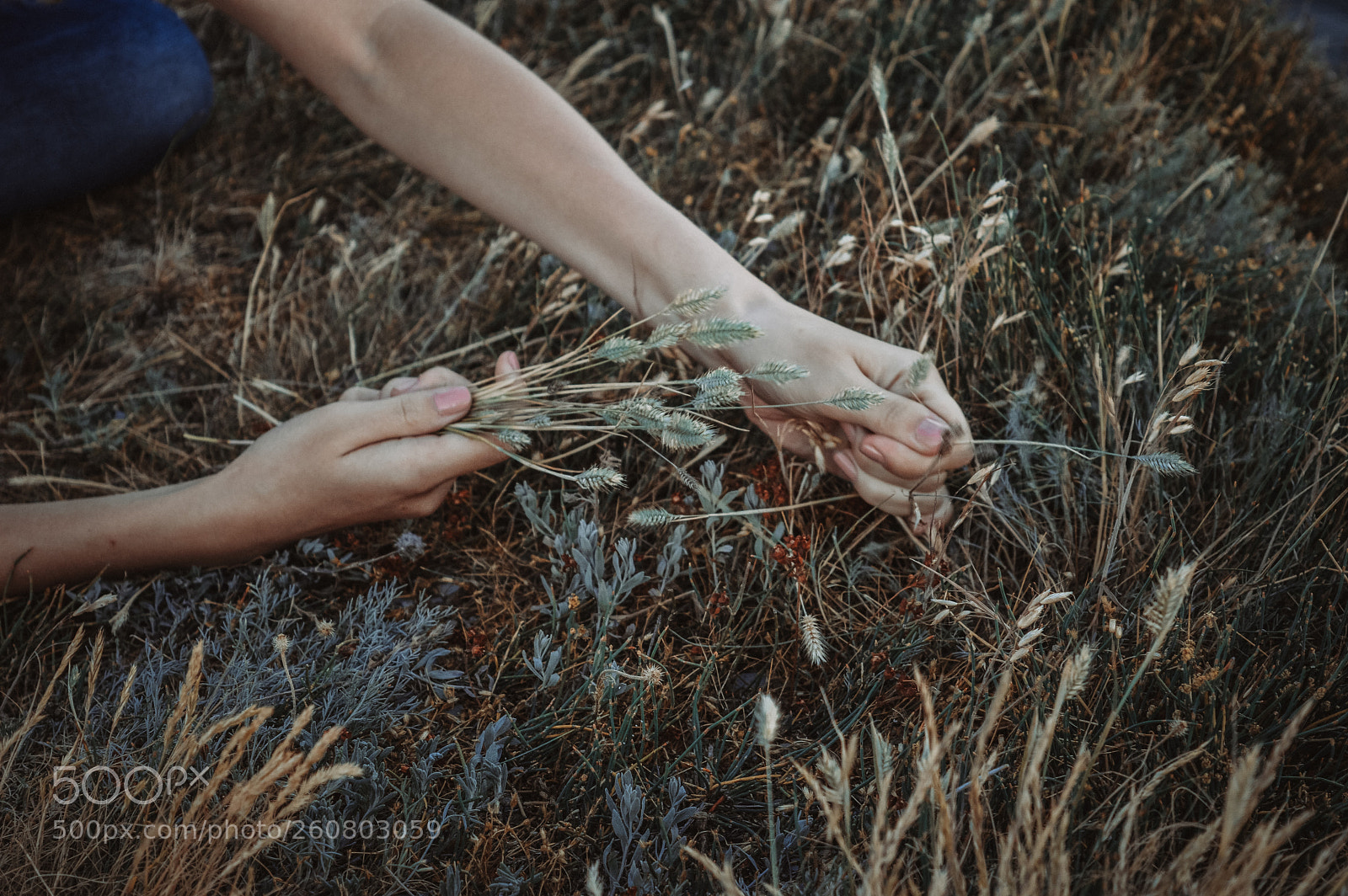 Nikon D3200 sample photo. Hands photography