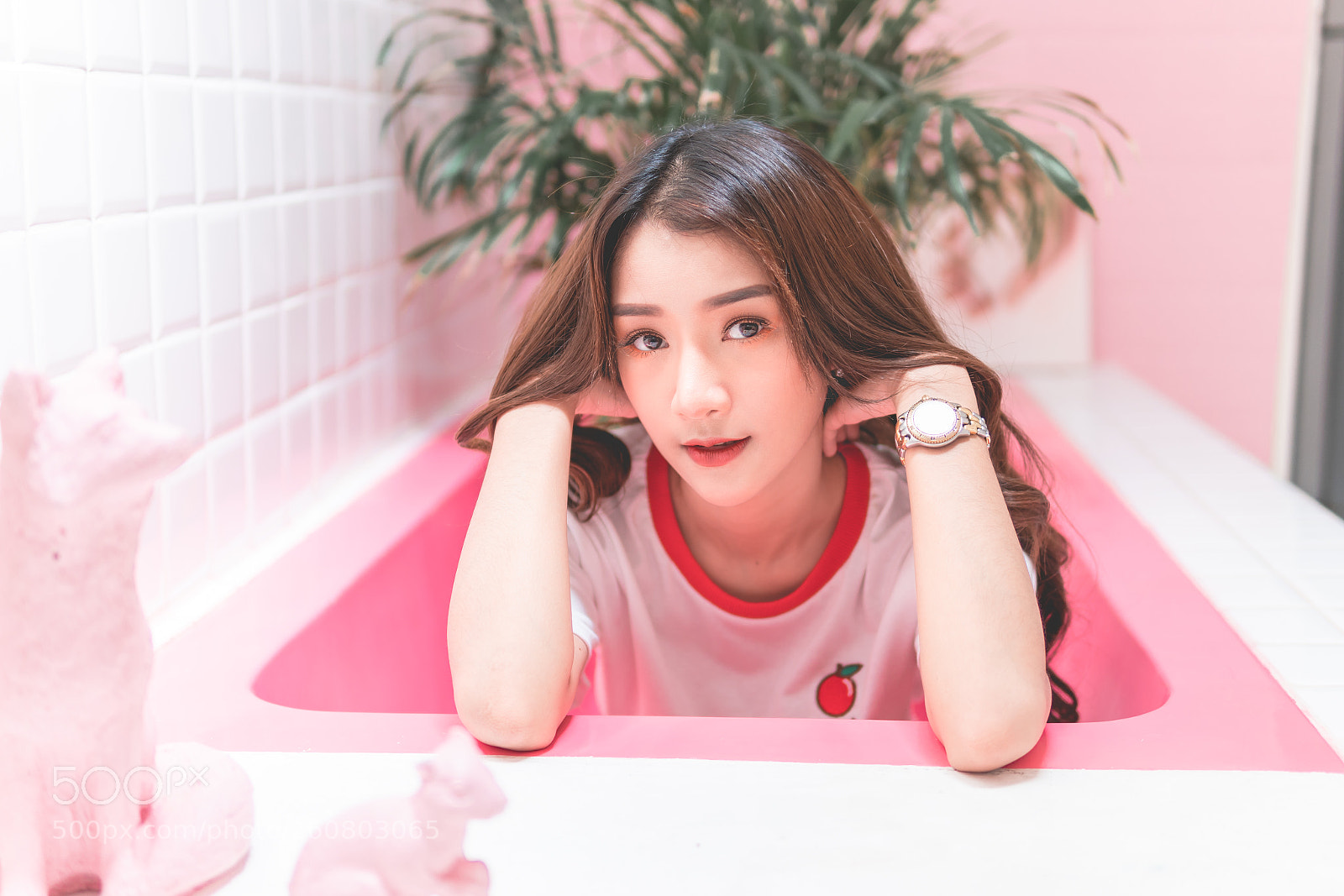 Sony a7R II sample photo. Pink my words. photography