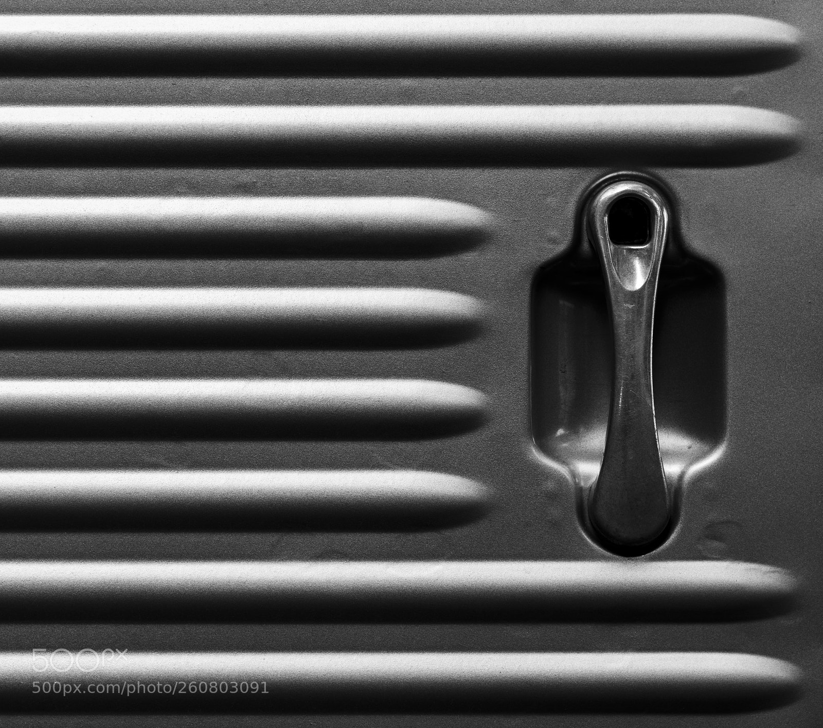 Nikon D610 sample photo. One against the mainstream photography