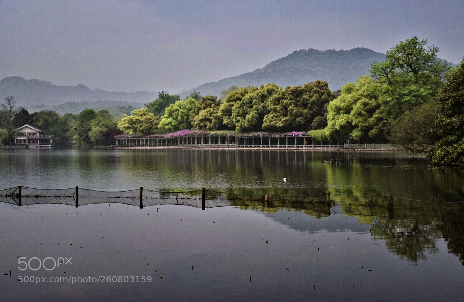 Nikon D5500 sample photo. Foggy lake photography