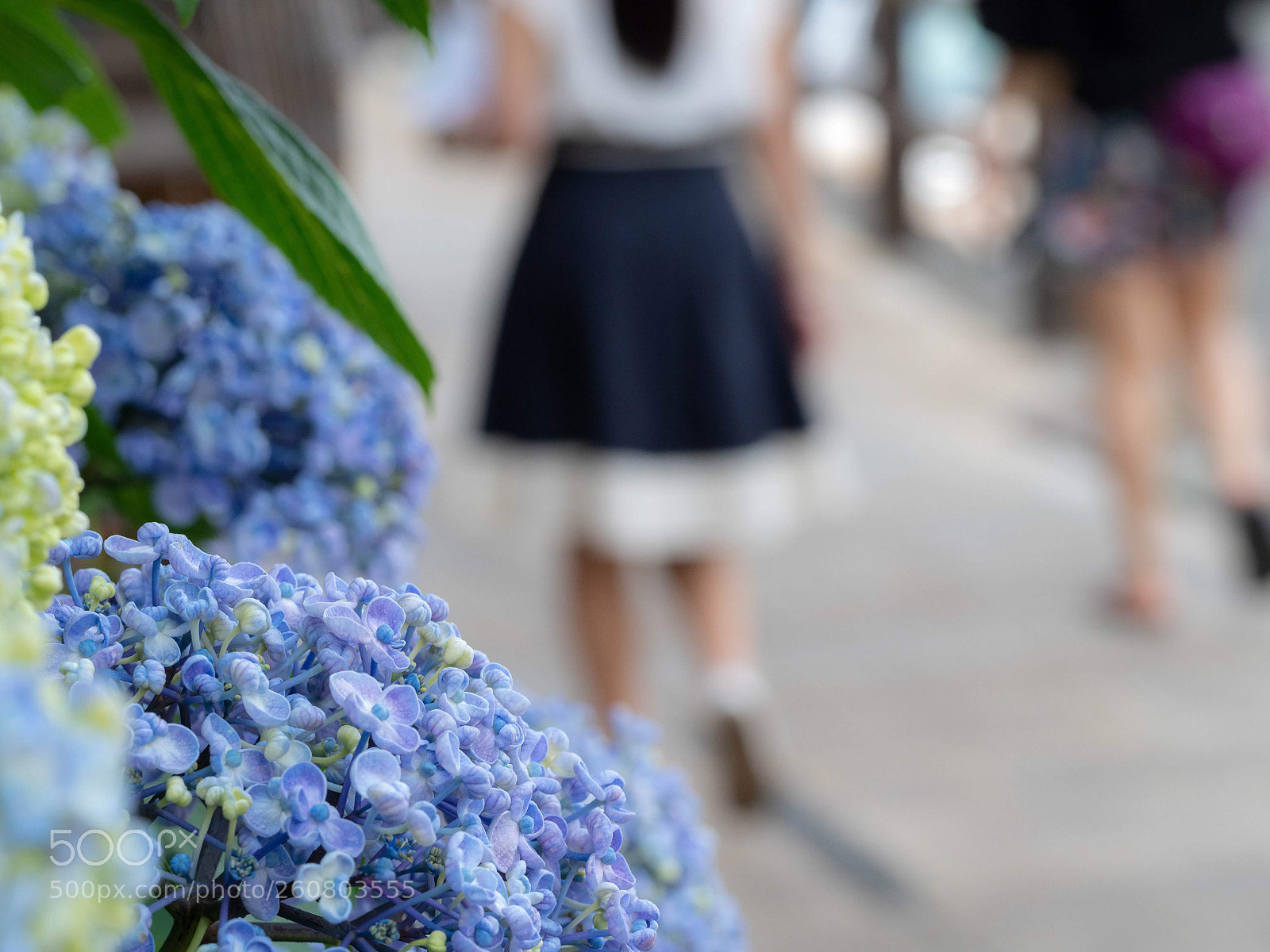 Olympus OM-D E-M1 Mark II sample photo. Untitled photography