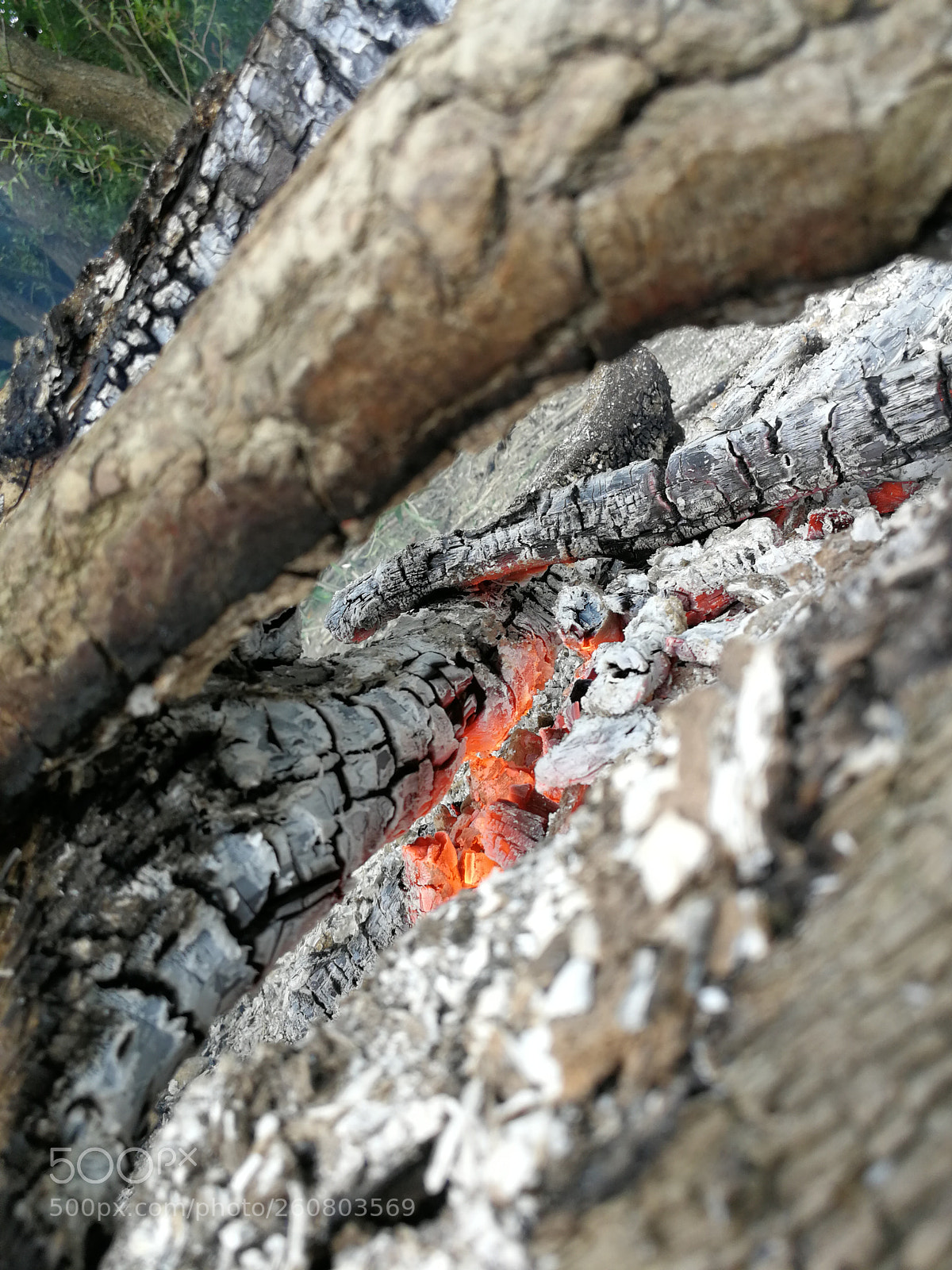 HUAWEI P10 sample photo. Campfire photography
