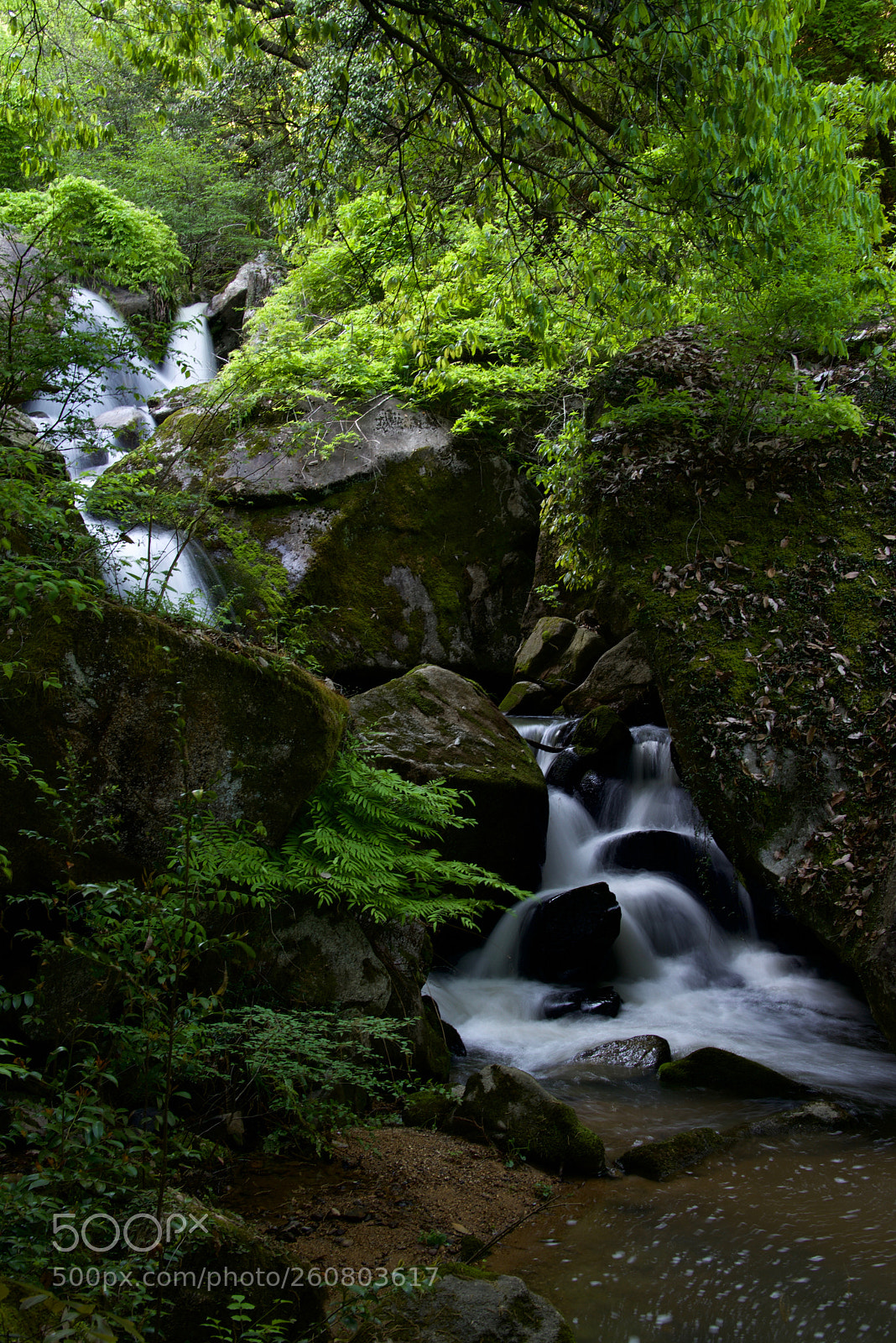 Nikon D610 sample photo. A ryugin falls photography