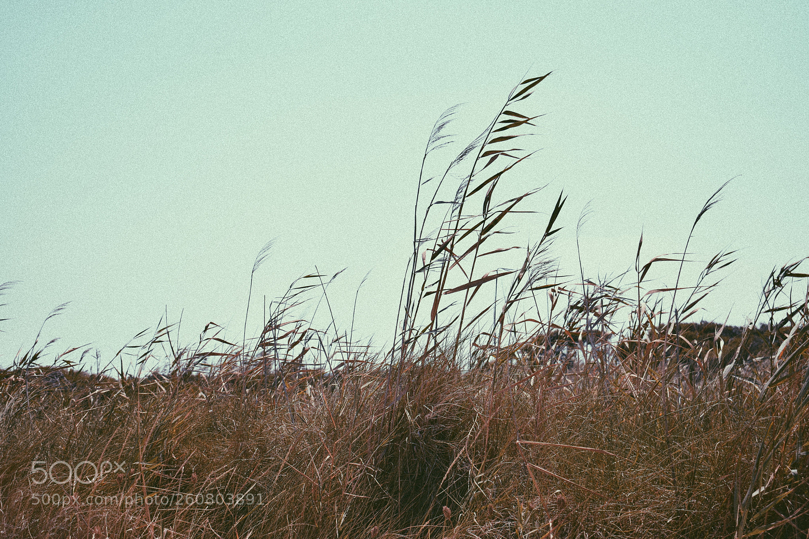 Nikon D3300 sample photo. Processed with vsco with photography