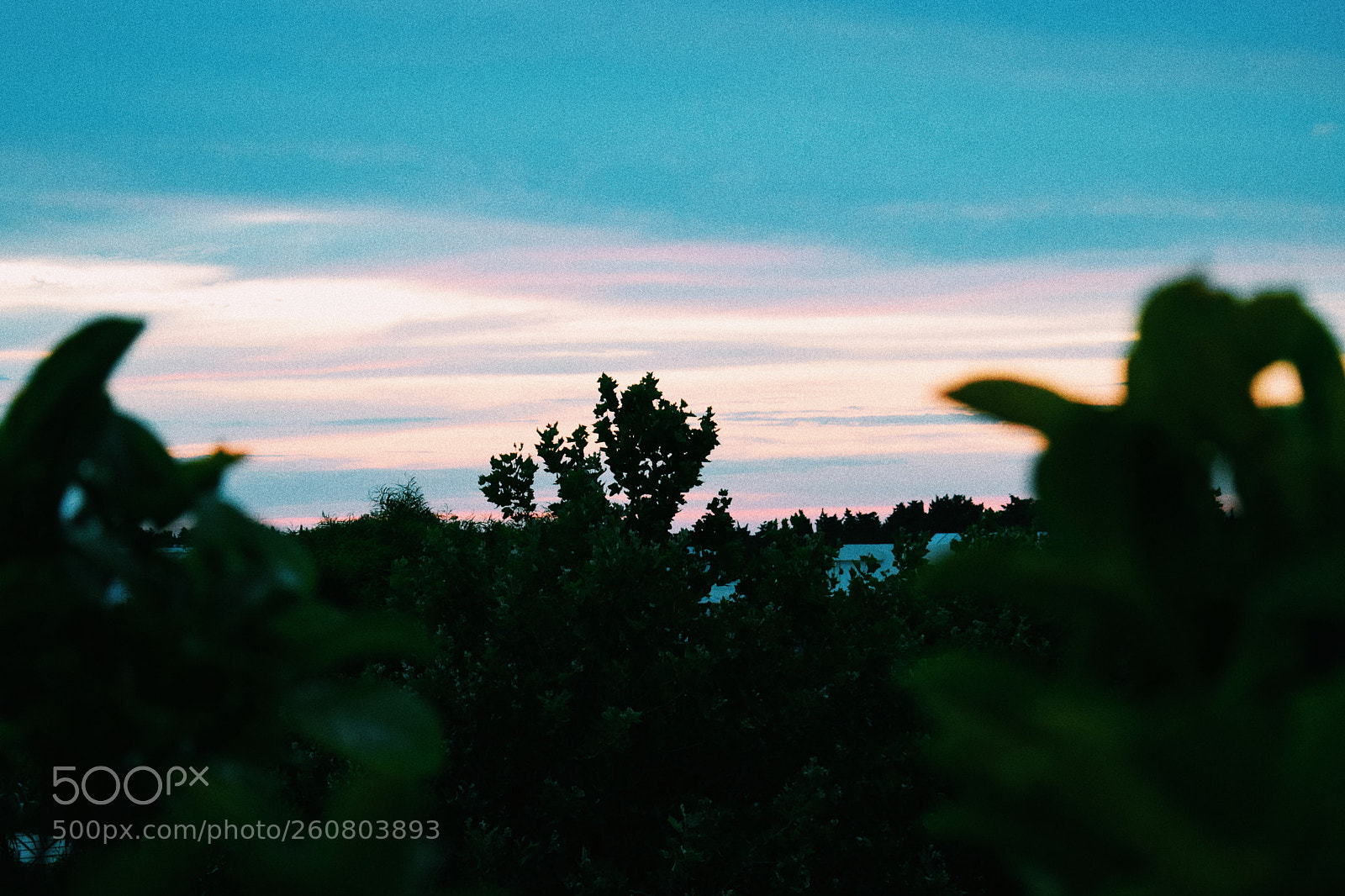 Nikon D3300 sample photo. Processed with vsco with photography