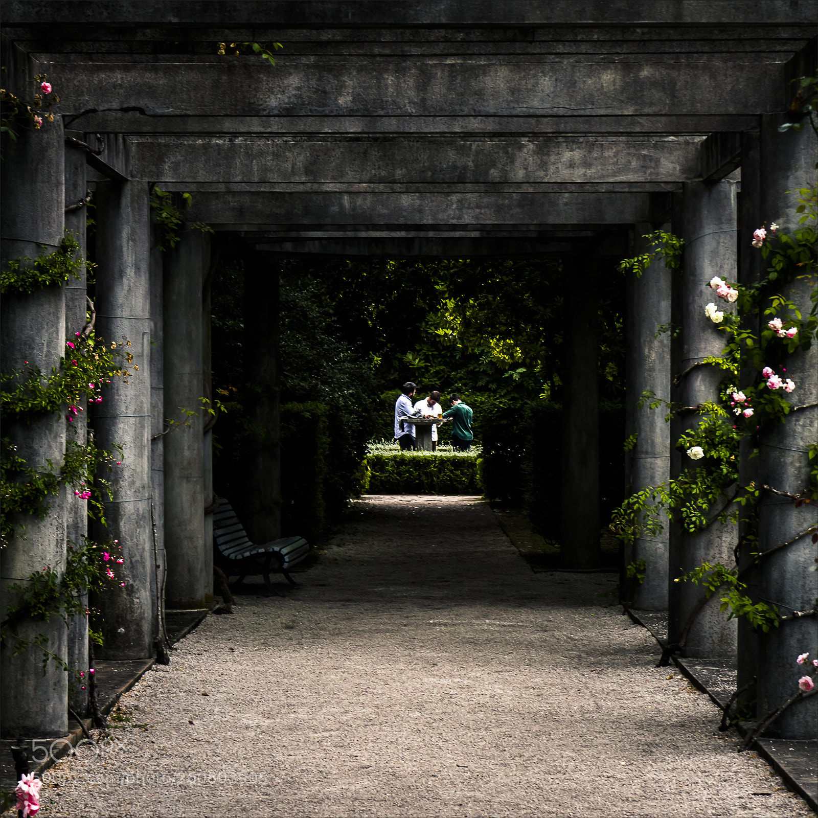Canon EOS 700D (EOS Rebel T5i / EOS Kiss X7i) sample photo. Strolling through the serralves photography