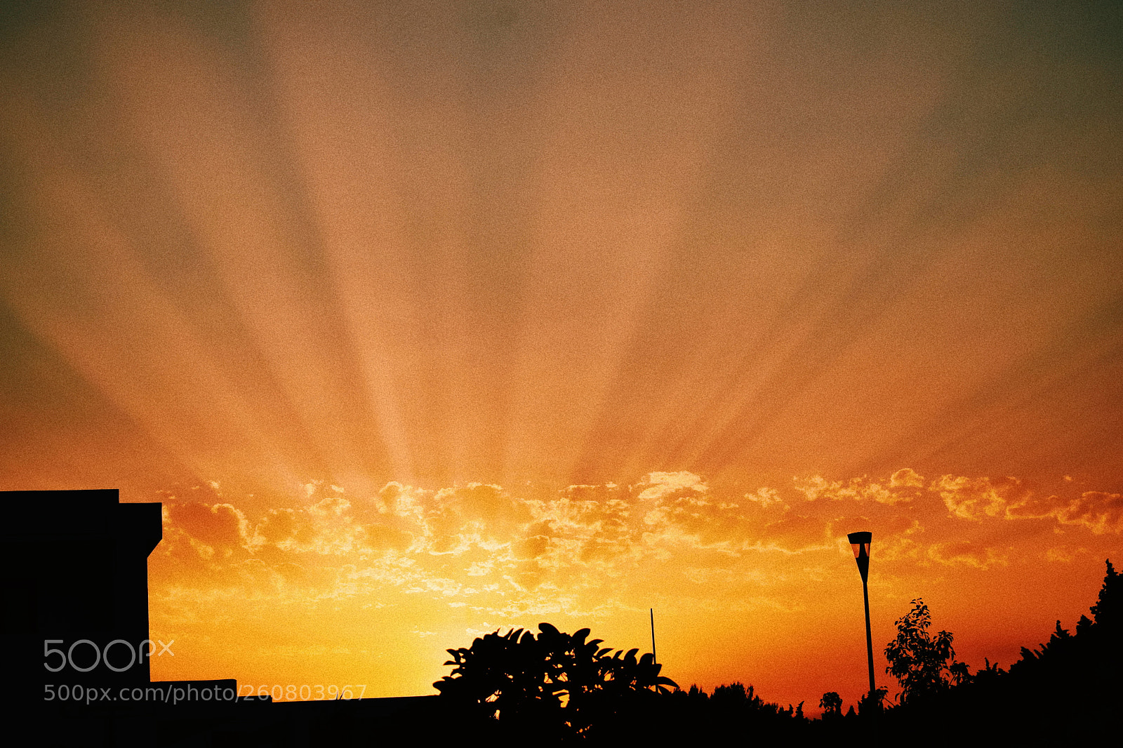 Nikon D3300 sample photo. Processed with vsco with photography