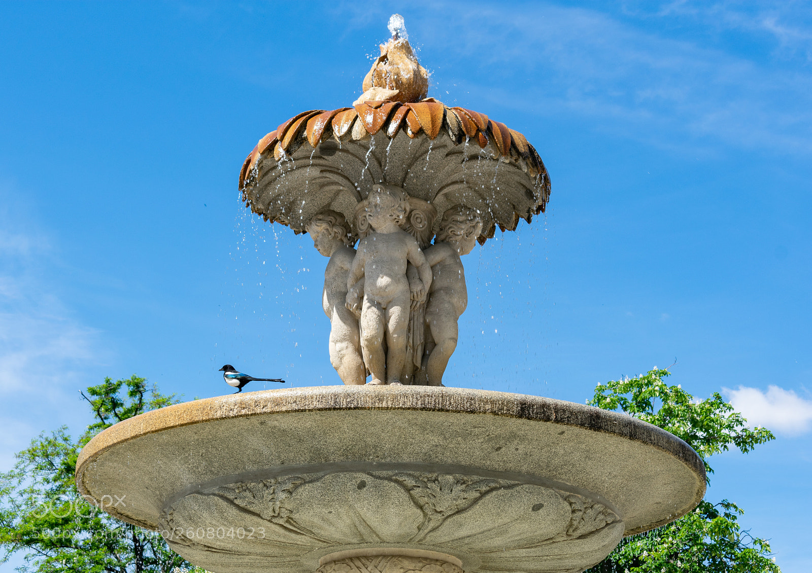 Nikon D3400 sample photo. Fountain photography