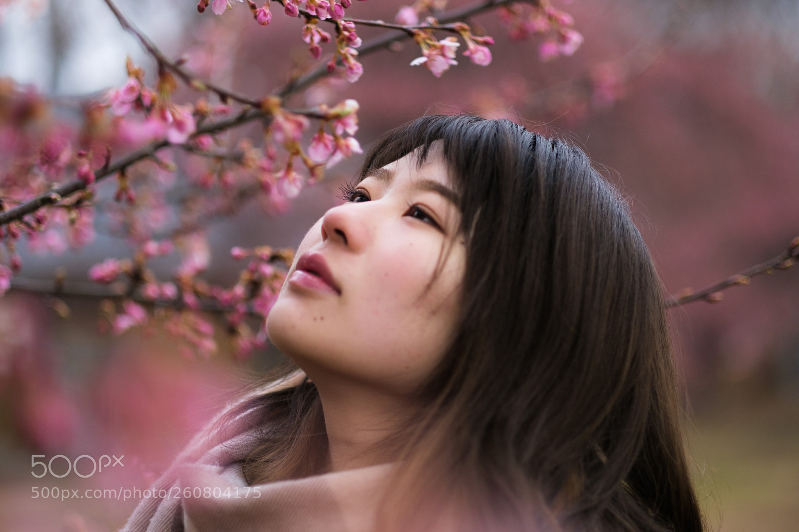 Fujifilm X-T2 sample photo. Aroma of plum photography