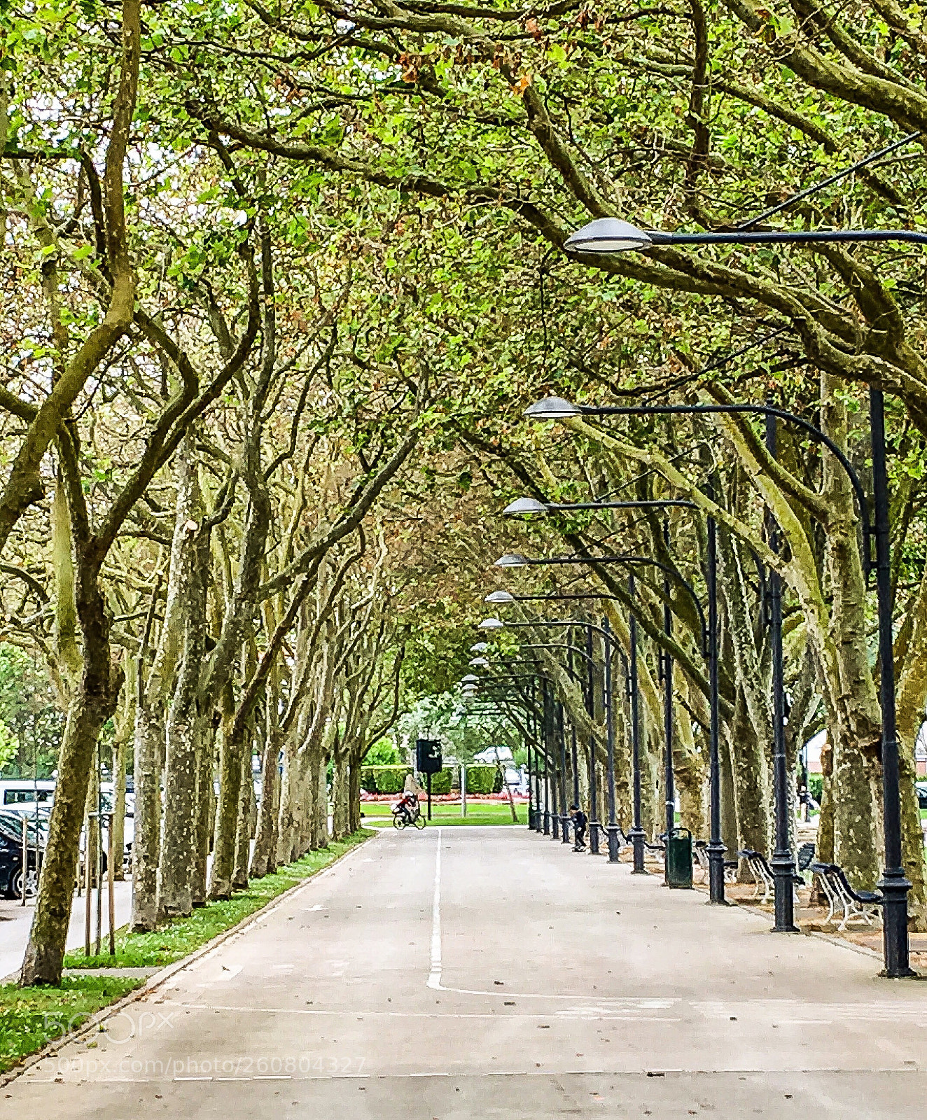 Apple iPhone 6s sample photo. Parque de mesones photography