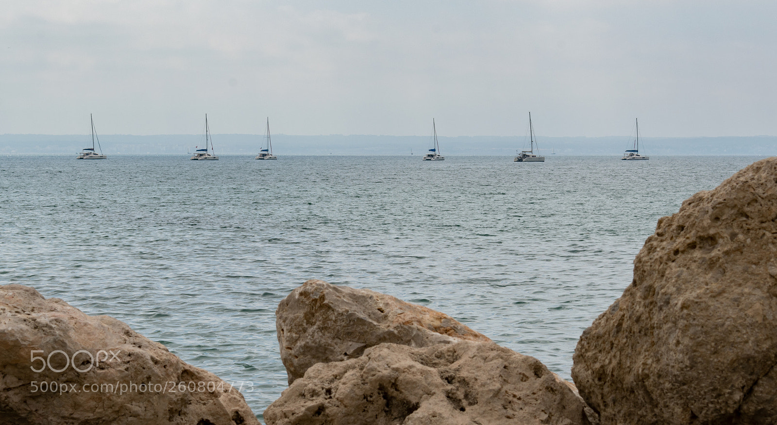 Nikon D3400 sample photo. Palma photography