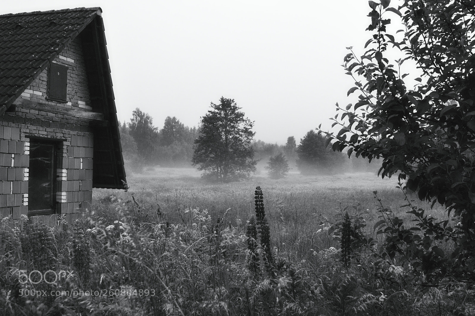 Canon EOS 77D (EOS 9000D / EOS 770D) sample photo. Early morning photography