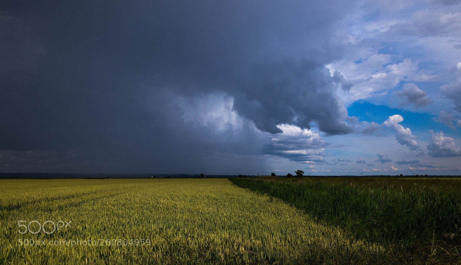 Canon EOS 7D Mark II sample photo. Orage photography