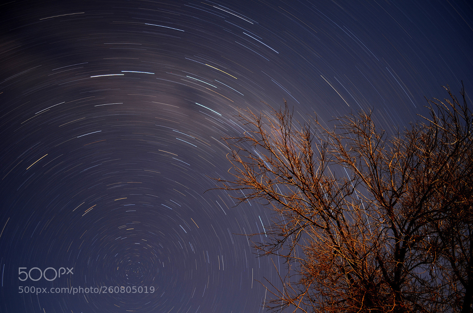 Nikon D7000 sample photo. Stars photography