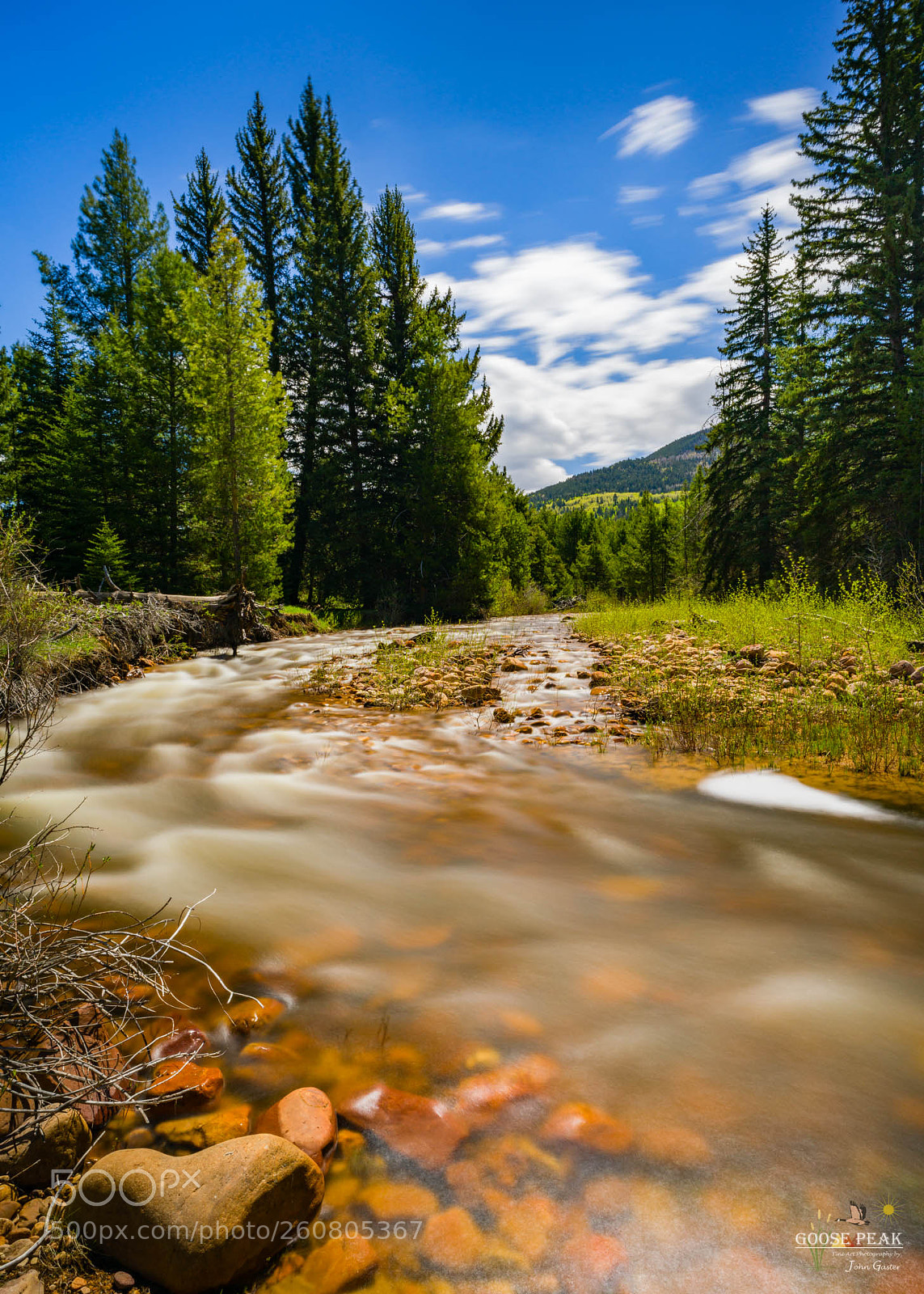 Sony a7R II sample photo. Spring provo river photography