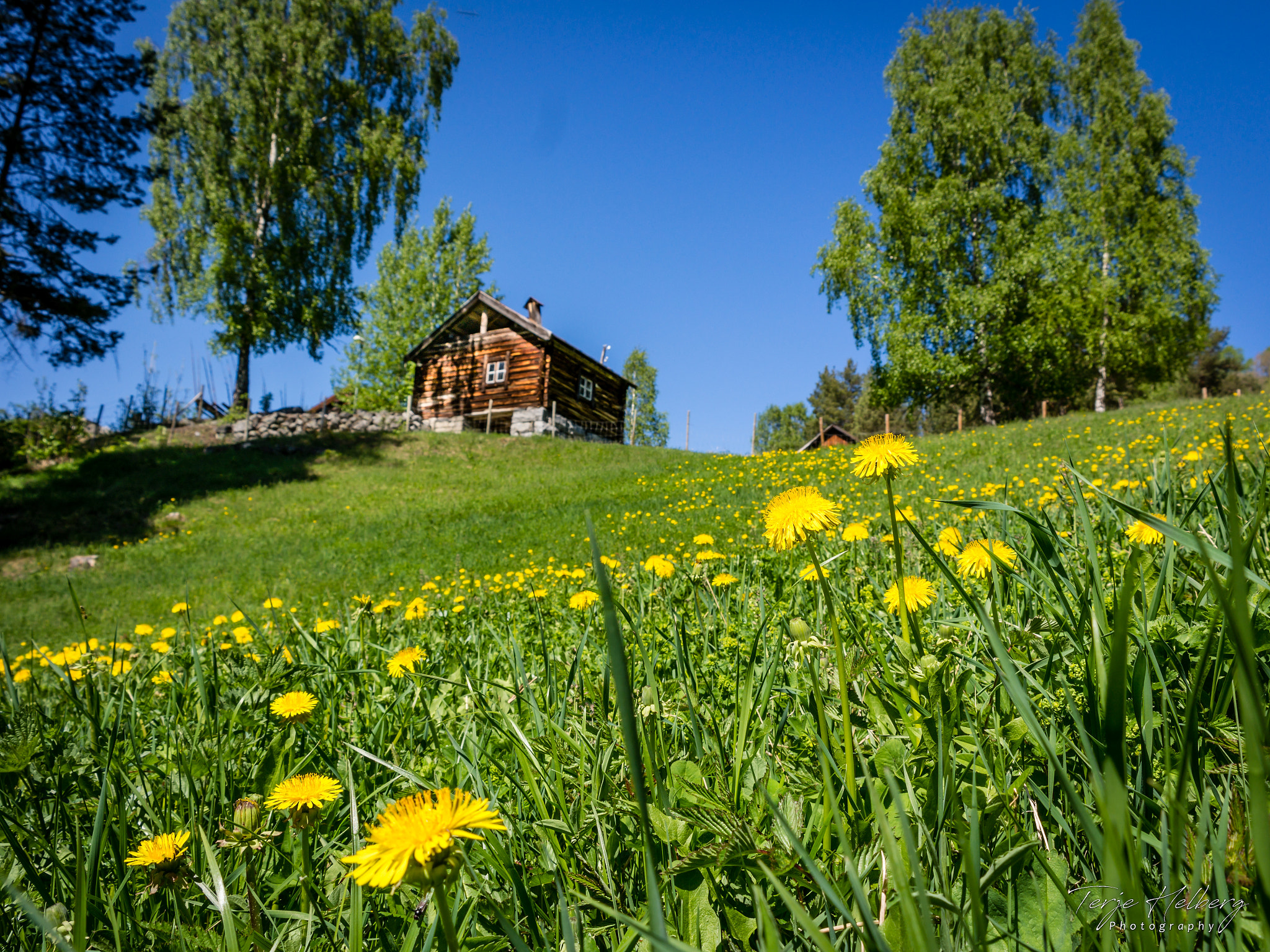 Samsung NX30 sample photo. "spring landscape" photography