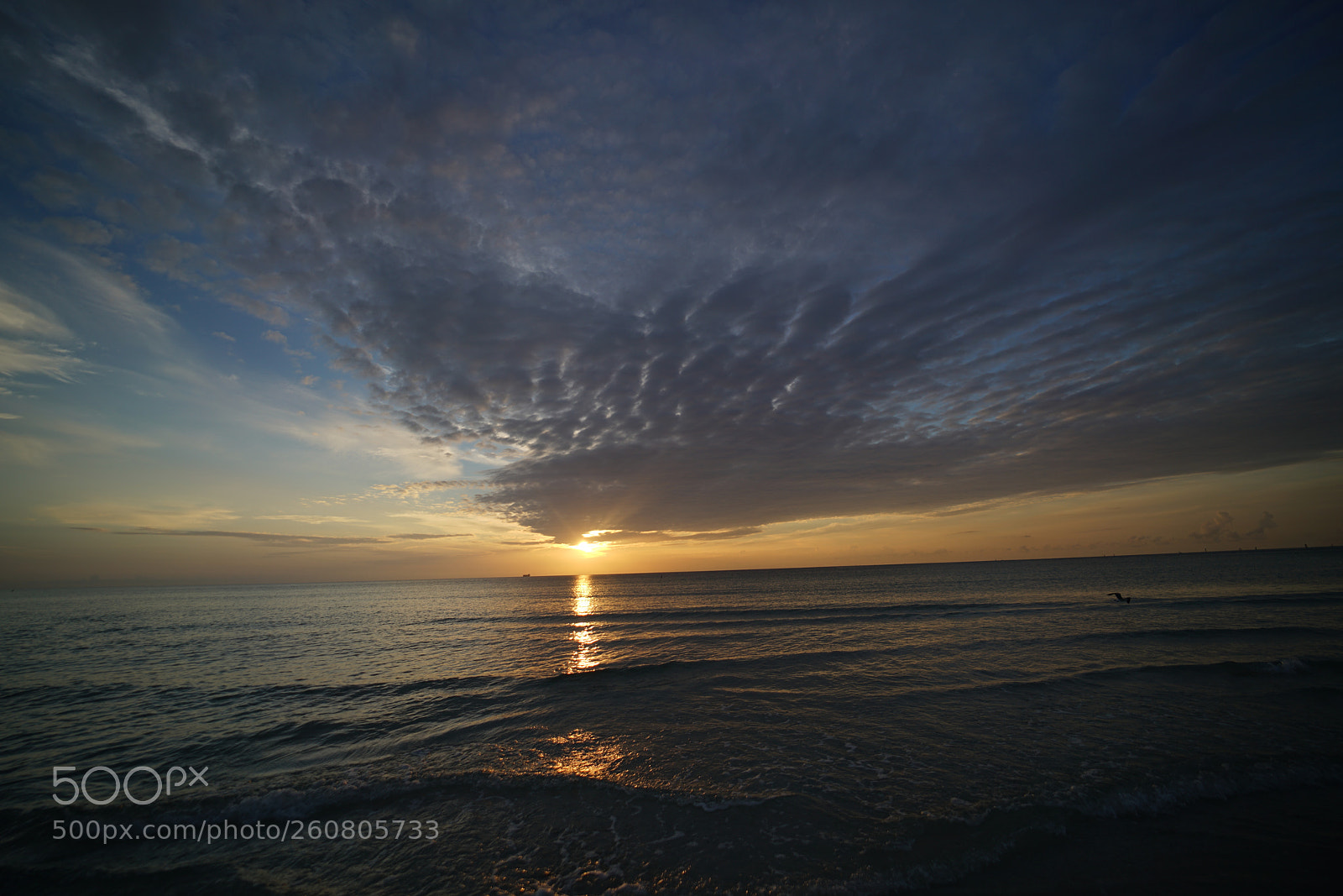 Sony a7R II sample photo. A ray in the photography
