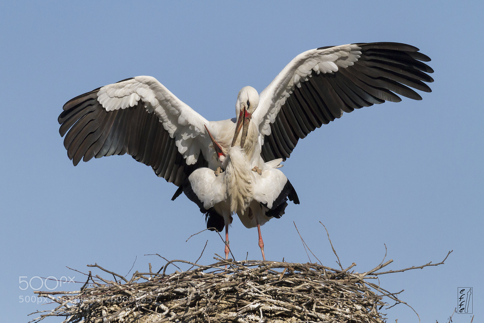 Canon EOS 7D sample photo. Lovers... photography