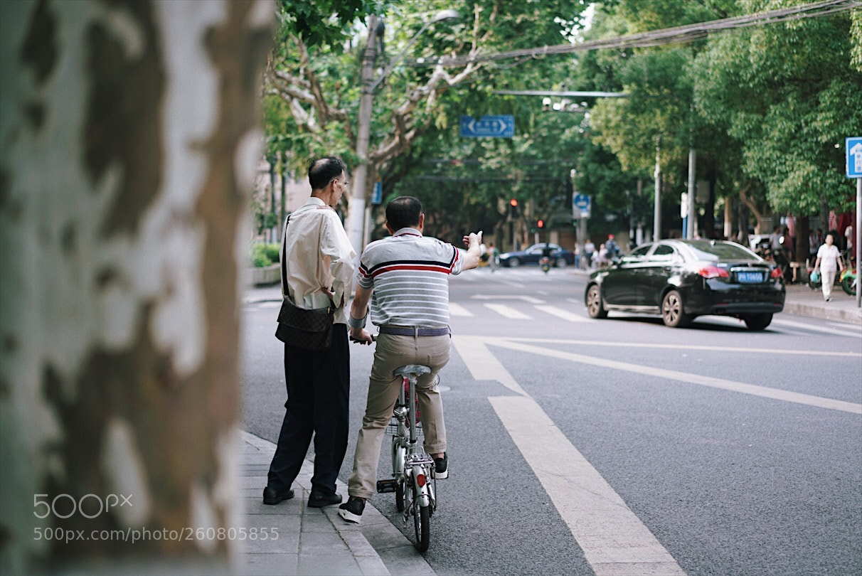 Sony a7R II sample photo. Untitled photography