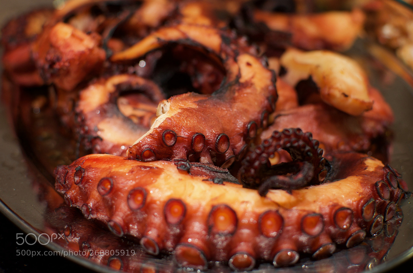 Nikon D5100 sample photo. Grilled octopus photography