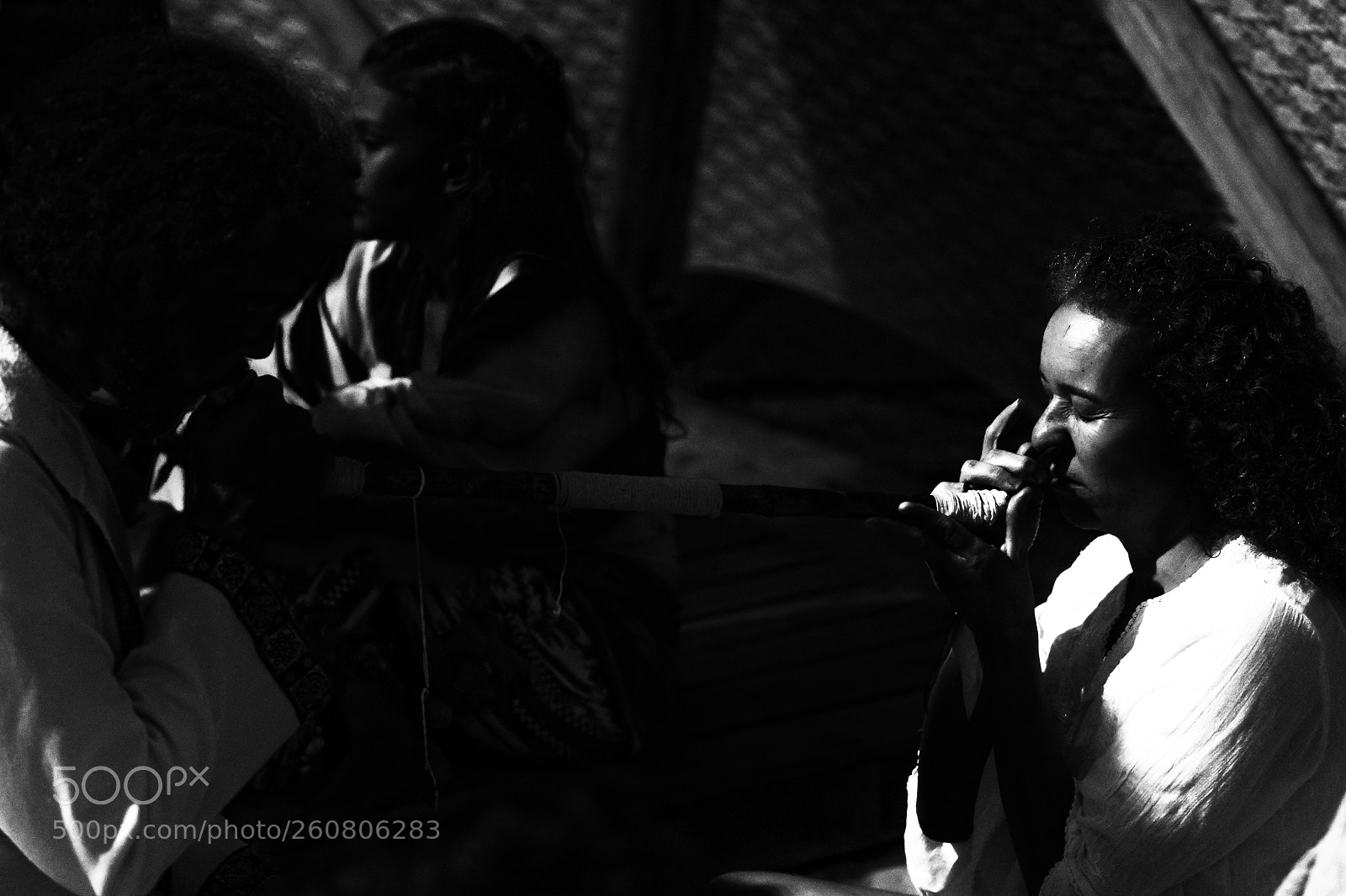 Canon EOS 5D Mark IV sample photo. Mundo de oz photography