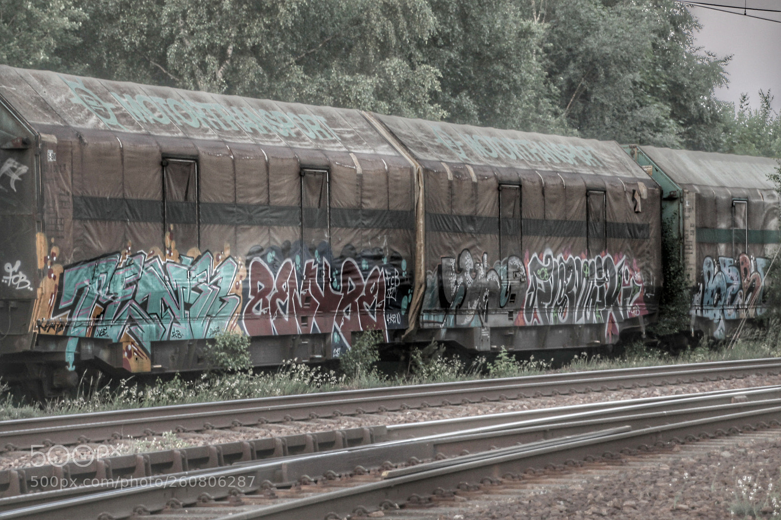 Canon EOS 1100D (EOS Rebel T3 / EOS Kiss X50) sample photo. Grafitti train photography