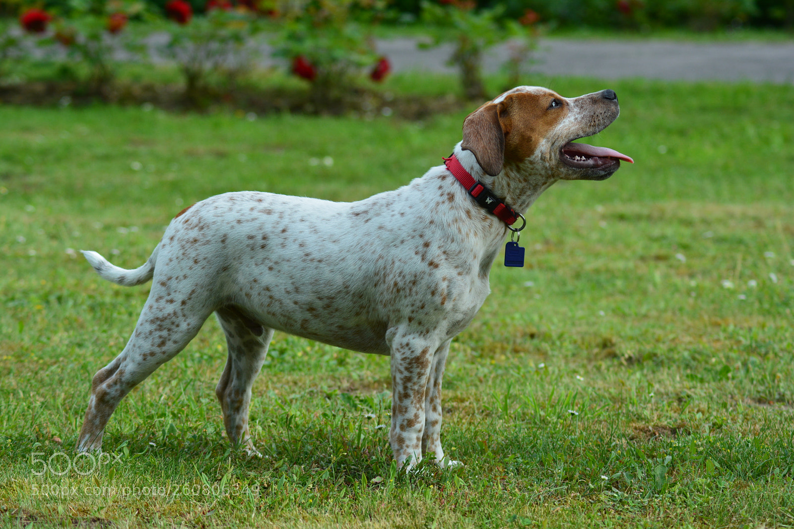 Nikon D5200 sample photo. Untitled photography