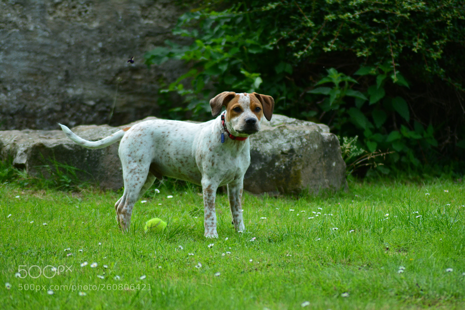 Nikon D5200 sample photo. Untitled photography