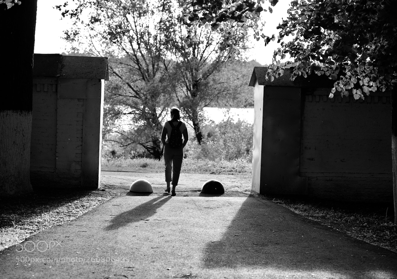 Nikon D810 sample photo. The exit photography