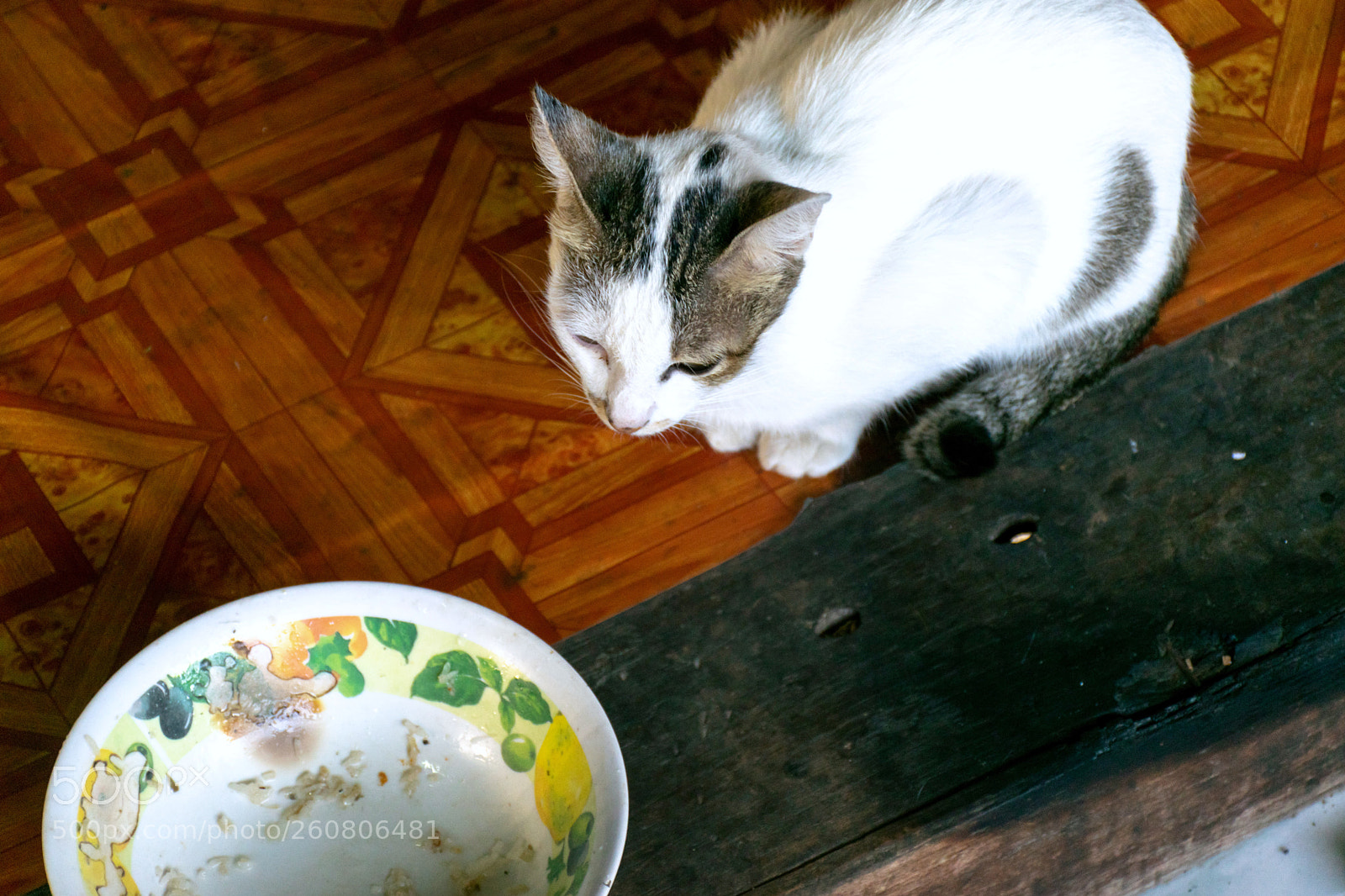 Nikon D5300 sample photo. Or some food is photography