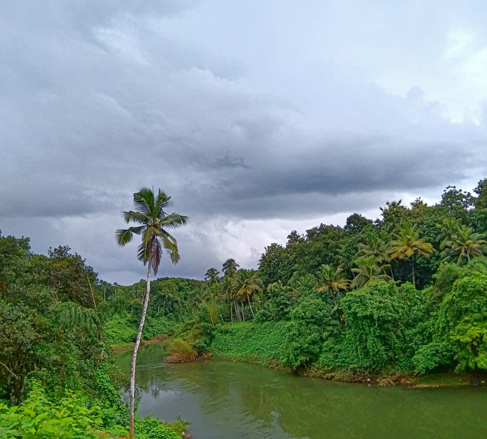Xiaomi MI MAX sample photo