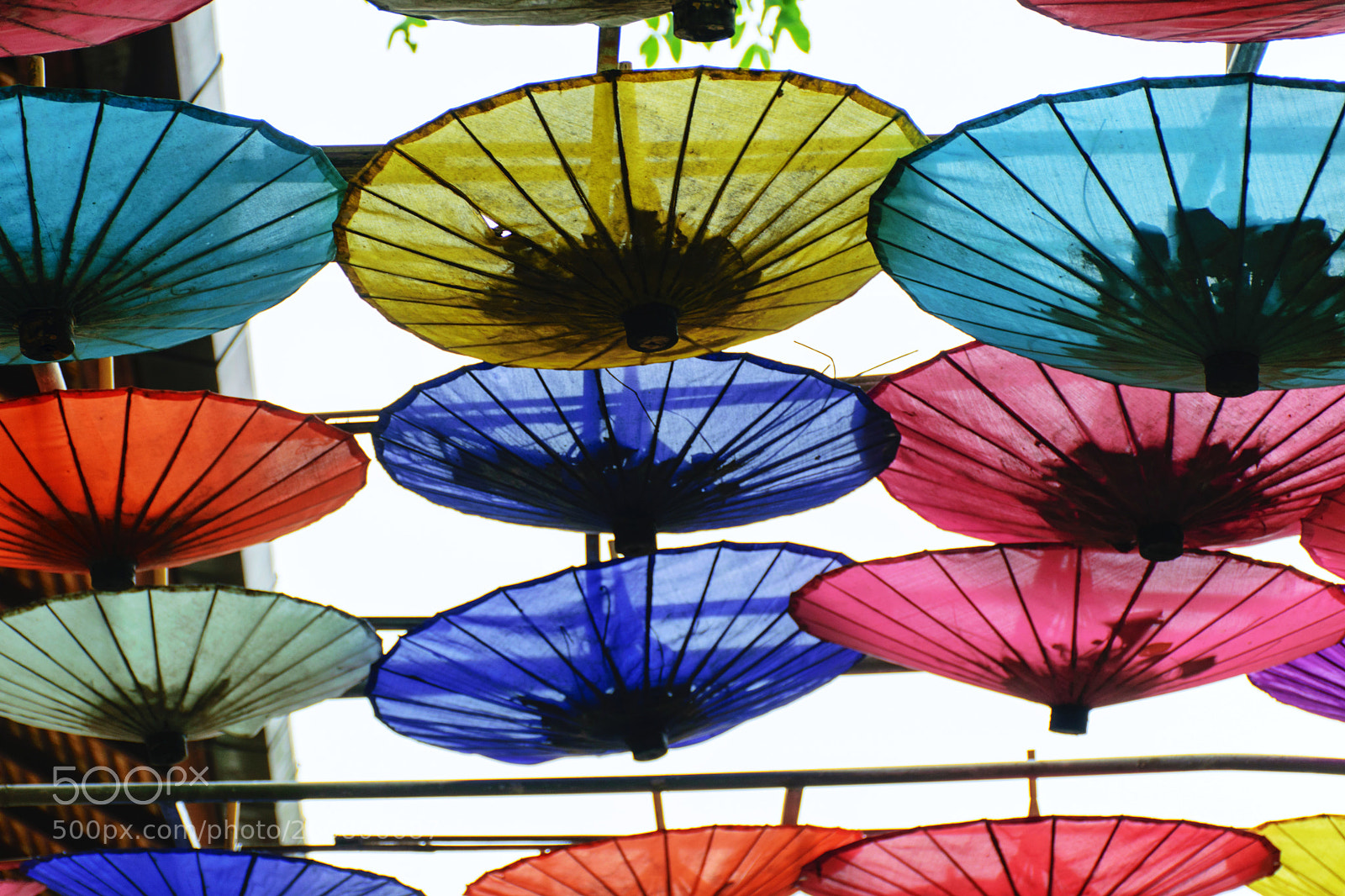 Nikon D5300 sample photo. Colorful of umbrella photography