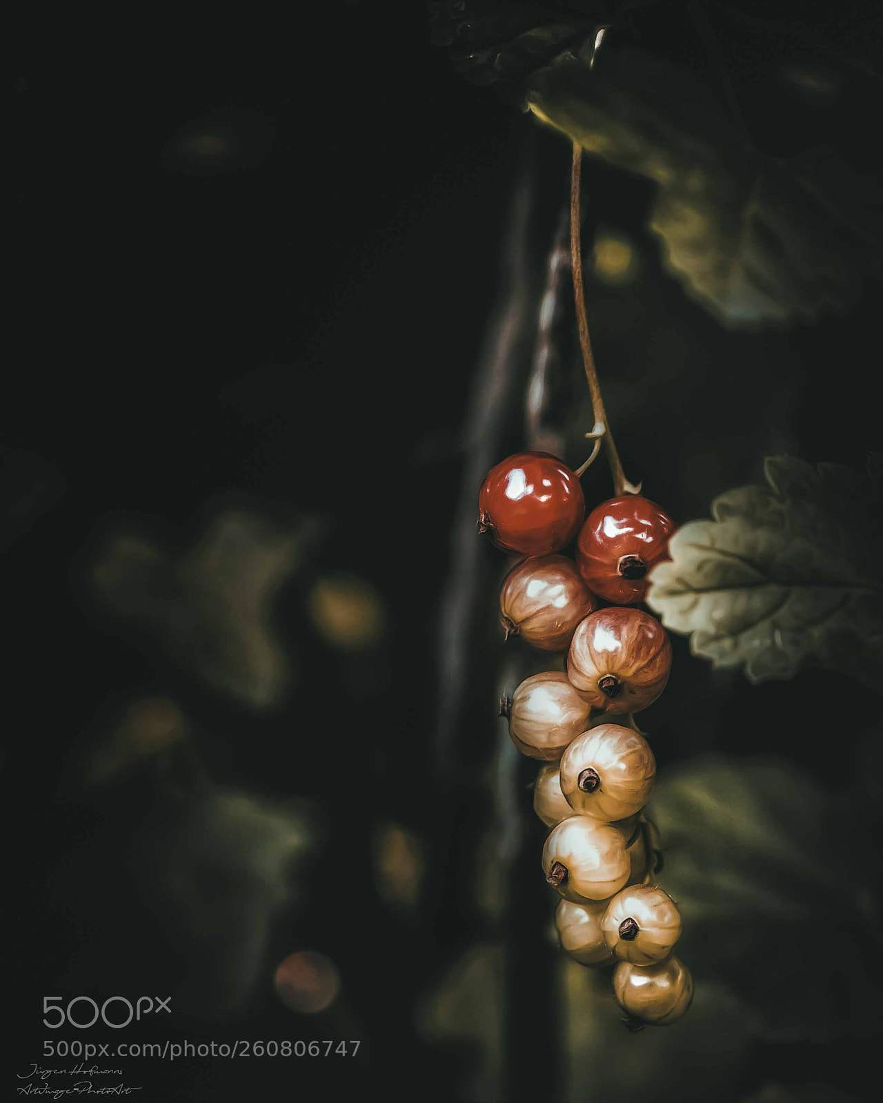 Canon EOS 7D Mark II sample photo. Current photography