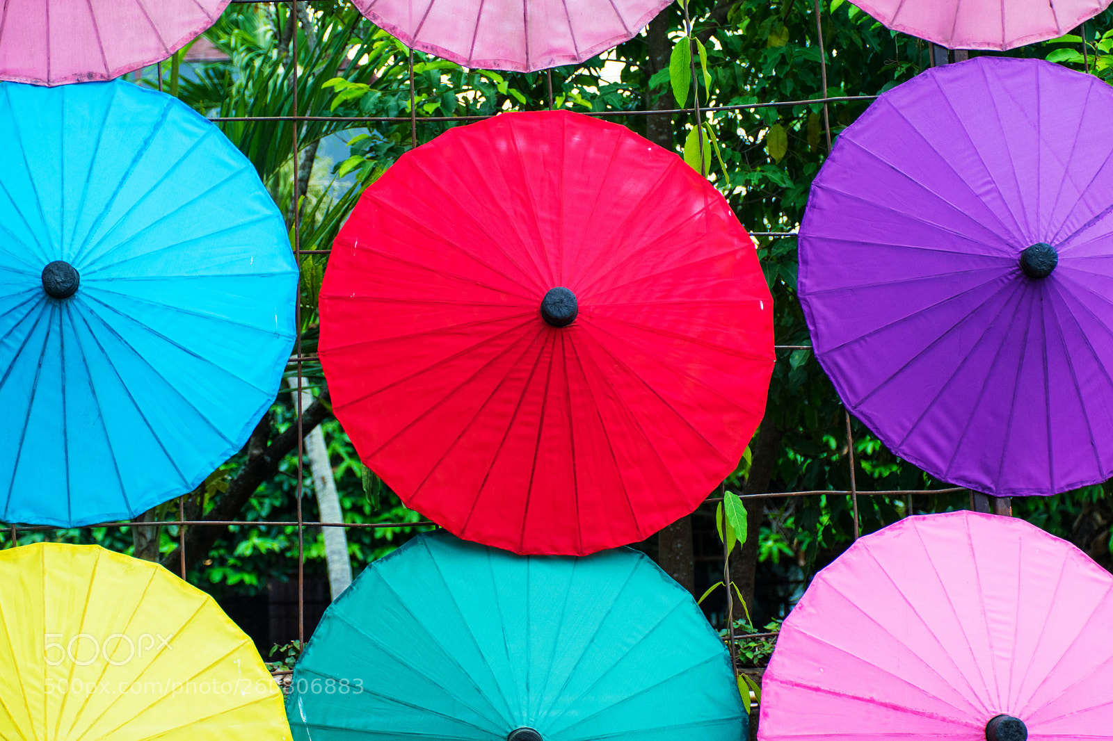 Nikon D5300 sample photo. Colorful of umbrella. photography