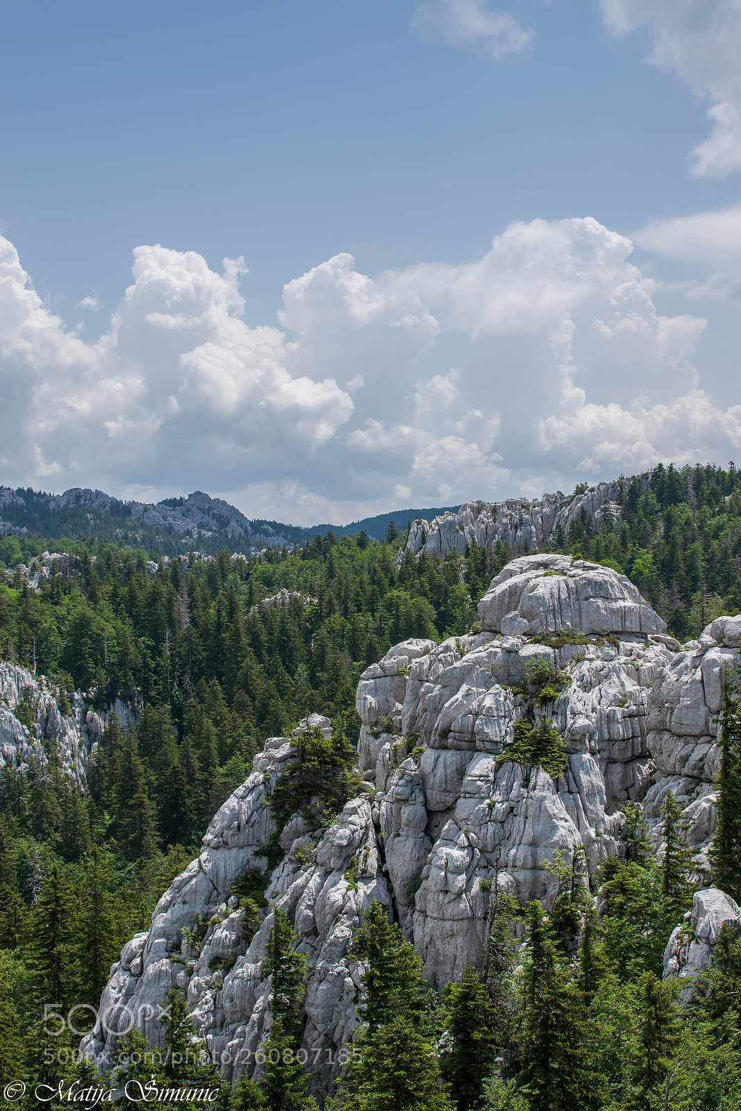 Nikon D5300 sample photo. Rocks, forest, sky photography