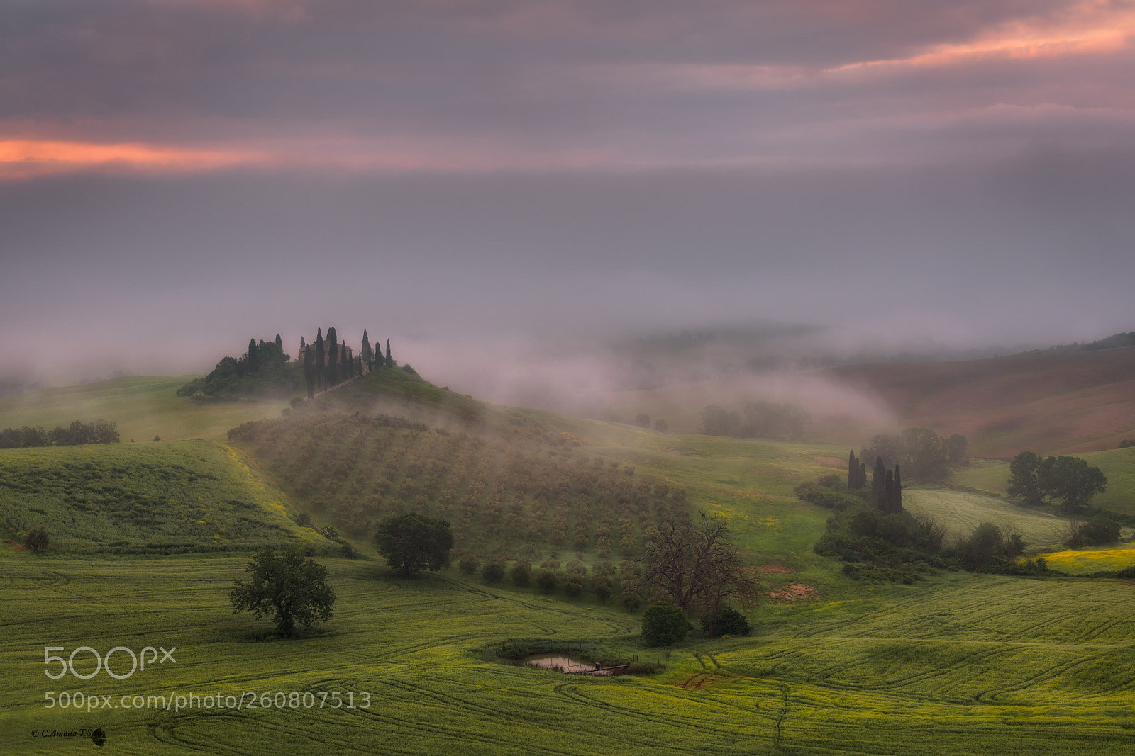 Nikon D850 sample photo. Podere belvedere photography