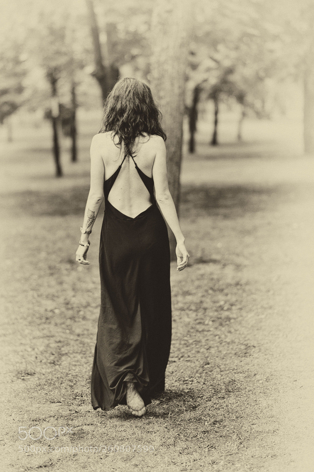 Nikon D800 sample photo. Fairy of the woods photography