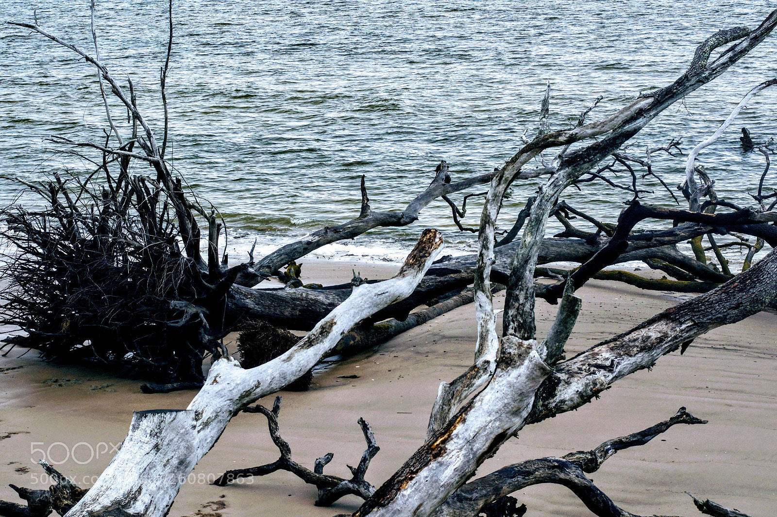 Nikon D7100 sample photo. Untitled photography