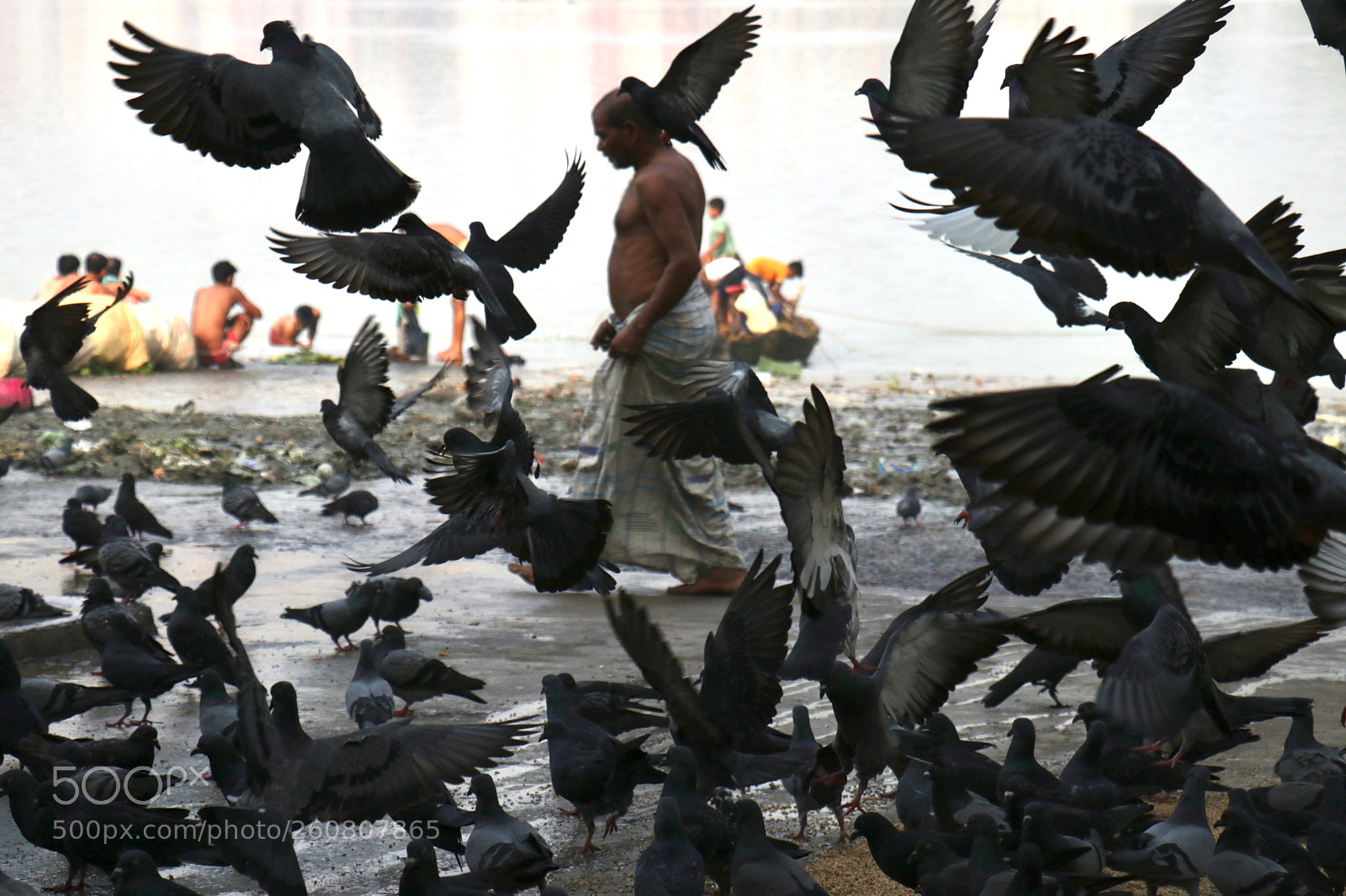 Canon EOS 80D sample photo. Synchronised  photography